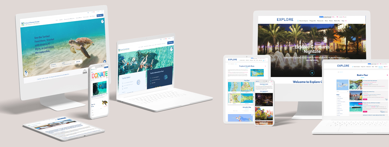 Website Design & Development