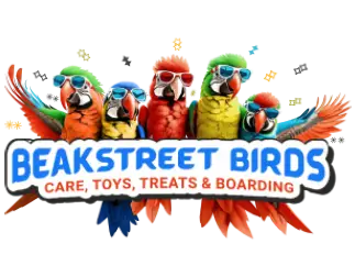 Beak Streetbirds Logo